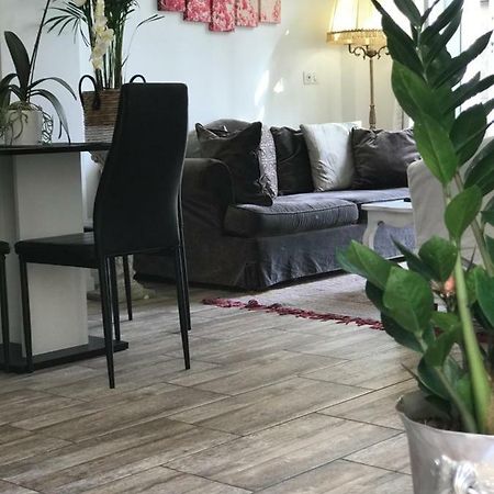Garden Carras Apartment นีซ ภายนอก รูปภาพ